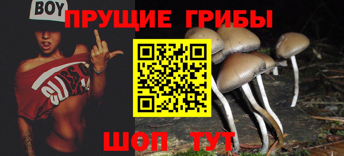 Галлюциногенные грибы прущие грибы  Вход с VPN  Северобайкальск 